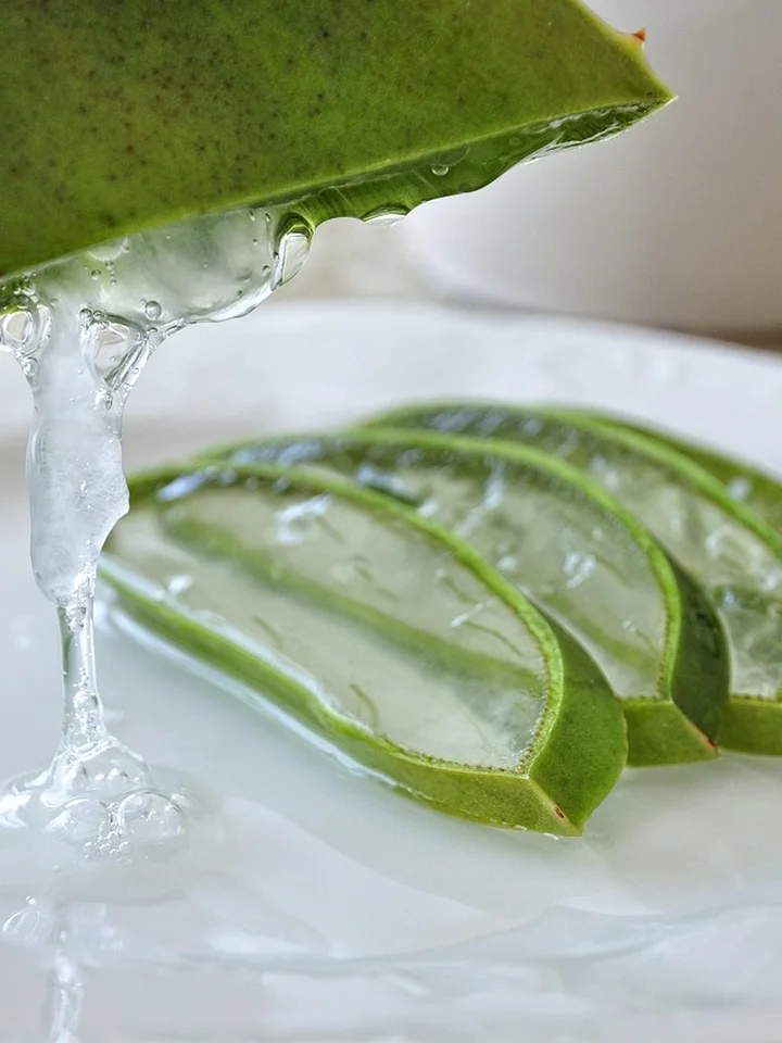 Close-up of aloe vera gel dripping from a leaf with sliced aloe on a white surface.