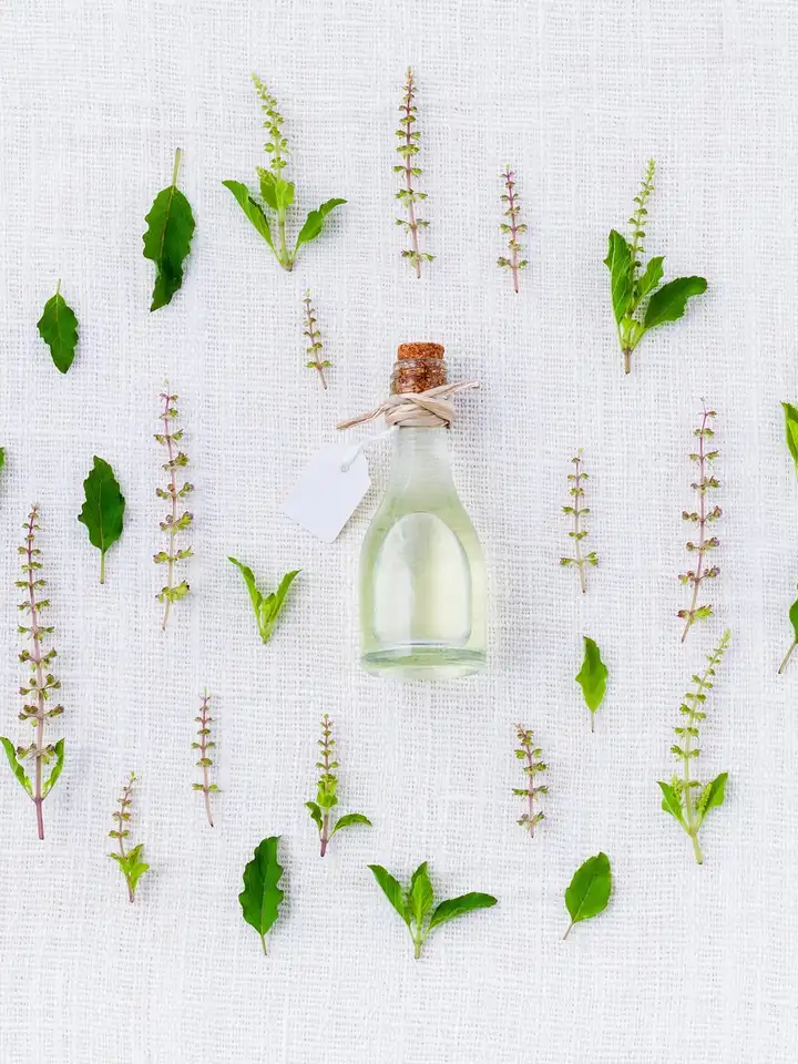 Small glass bottle of carrier oil with a cork stopper surrounded by fresh green leaves and dried herb sprigs on a white textured background.