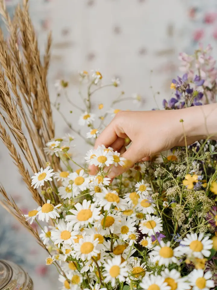 Close-up of a hand picking white and yellow daisies from a wildflower bouquet with a softly blurred background