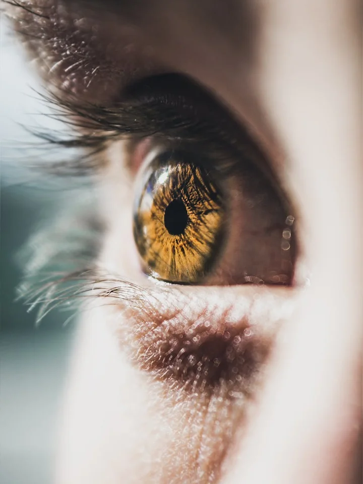 Close-up of a human eye with a golden-brown iris, symbolizing vigilance for skin irritation signals.