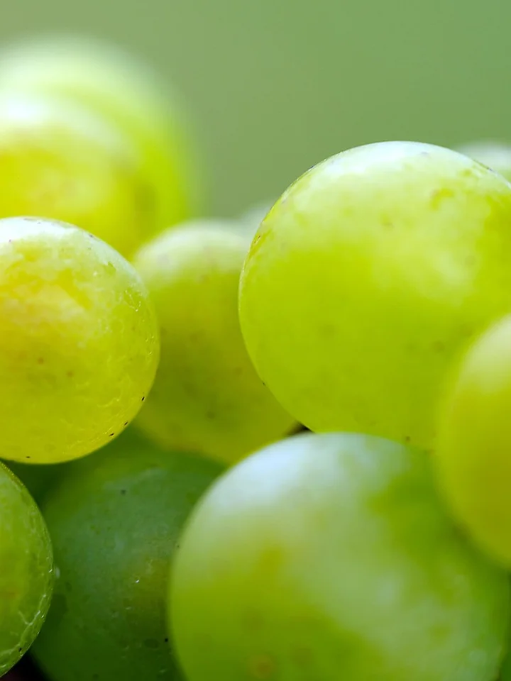 Close-up of green grapes