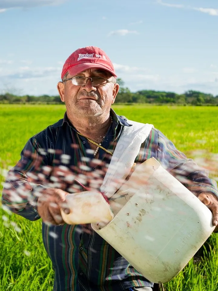 Rice Extract vs. Fermented Rice Water: Which Gives You a Brighter, Healthier Glow?