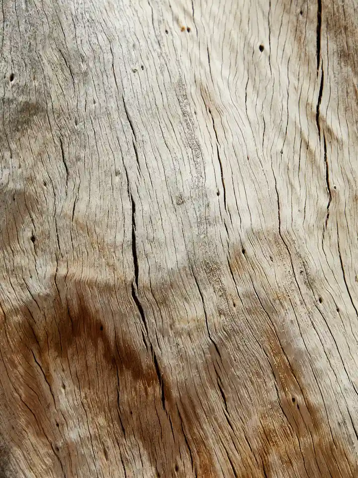 Close-up of a weathered wooden surface with visible grain and cracks